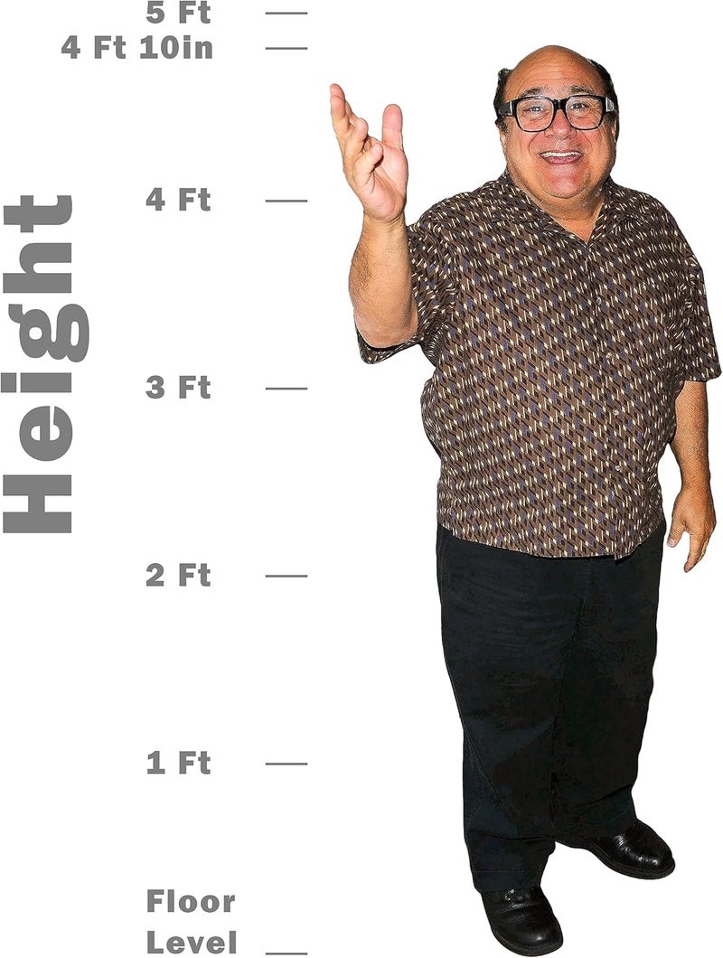 Novelty Native Danny Devito Life Size Standup Cardboard Cutout Standee (Creaseless Edition) - Image 2